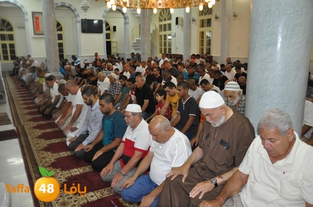 tarawe7 nozhas j (9).JPG